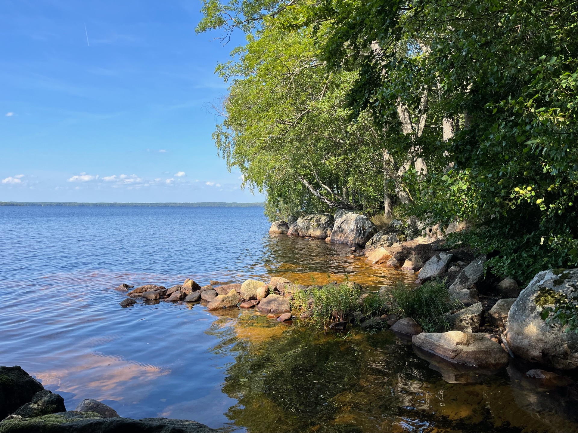 Sjön Mien vid skog och ängar